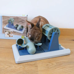 jeu d'intelligence lapin