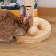 arbre d'intelligence en bois pour lapin jeu