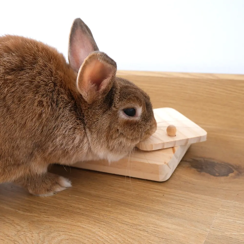 Jeu à friandise pour lapin