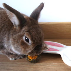 Biscuit lapin aux fleurs