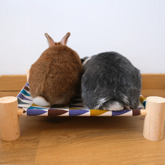 hamac pour lapin nain