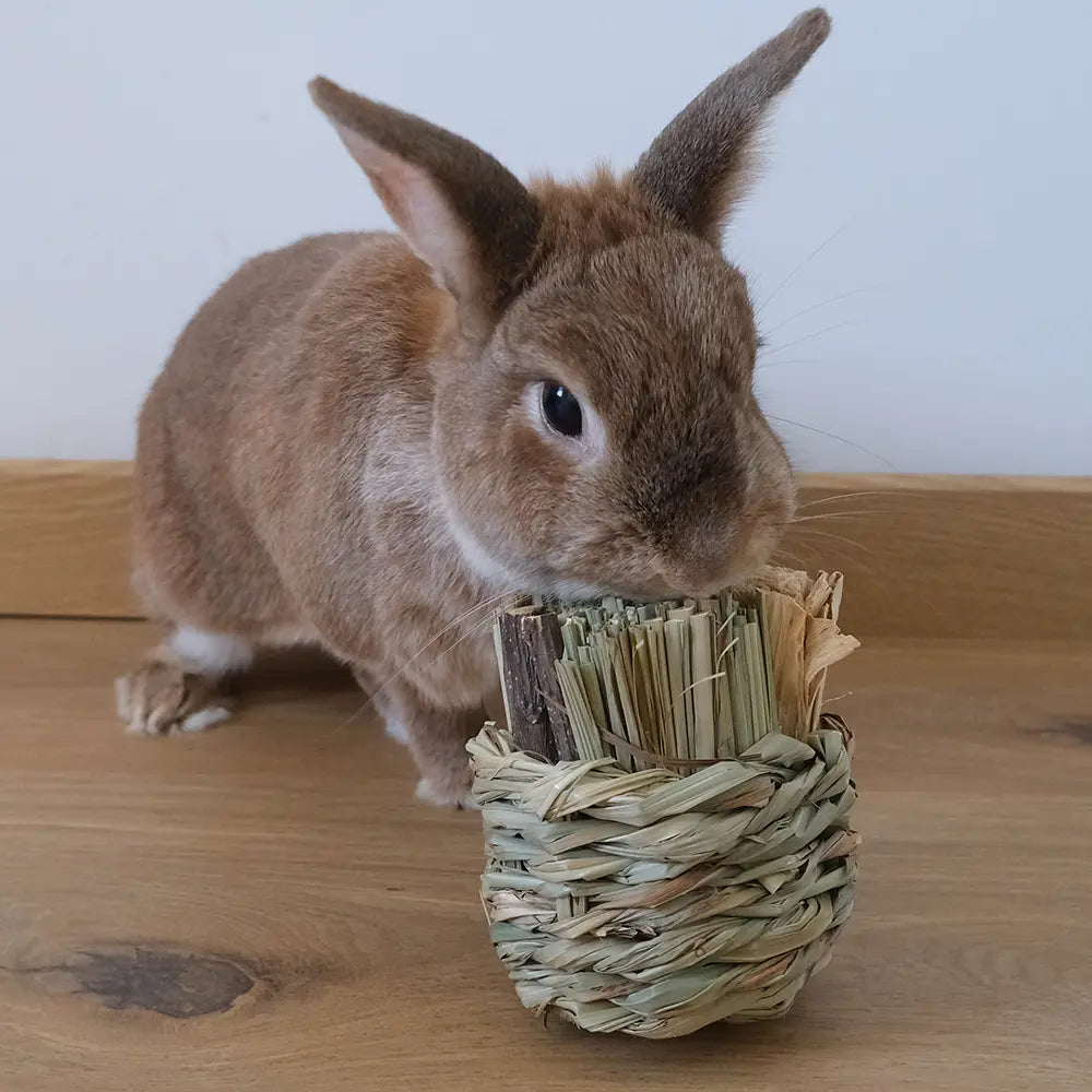 panier à grignotter lapin