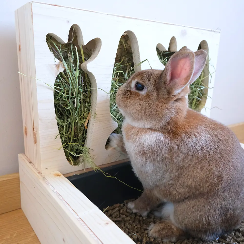 ratelier litière pour lapin