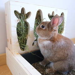 ratelier litière pour lapin