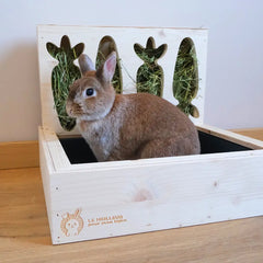 meilleur ratelier lapin