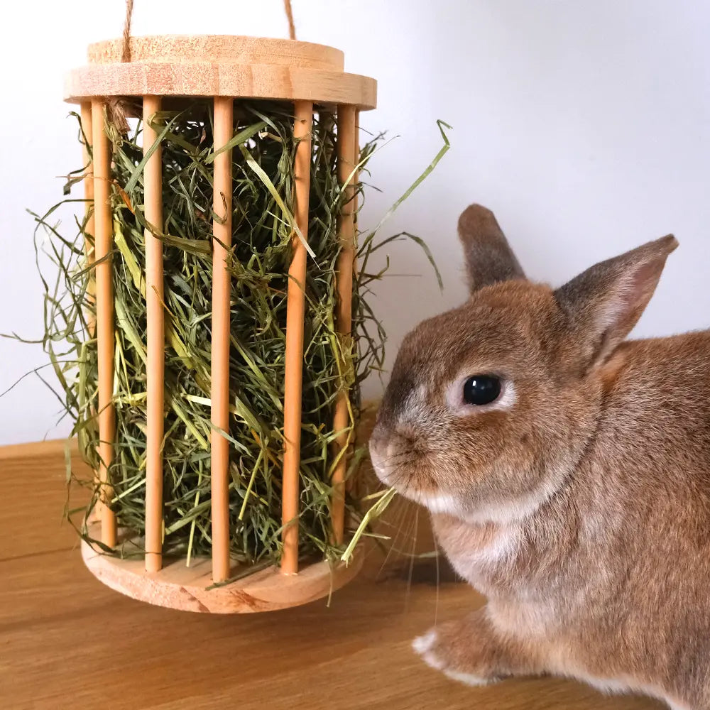 râtelier rond pour foin lapin
