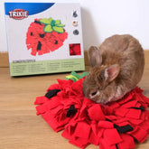 Tapis de fouille Fraise