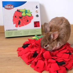 Tapis de fouille Fraise