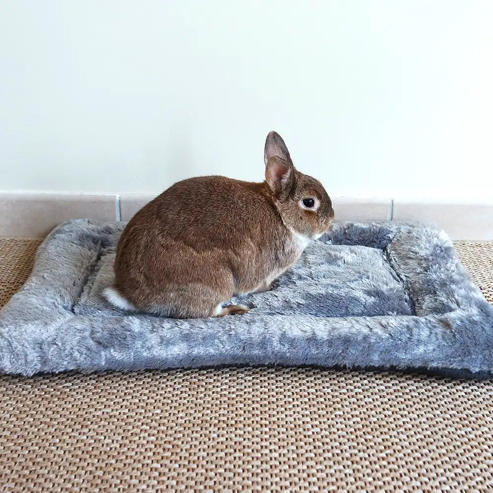 tapis douceur lapin