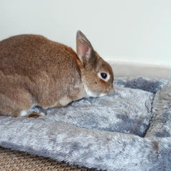 tapis pour lapin tout doux
