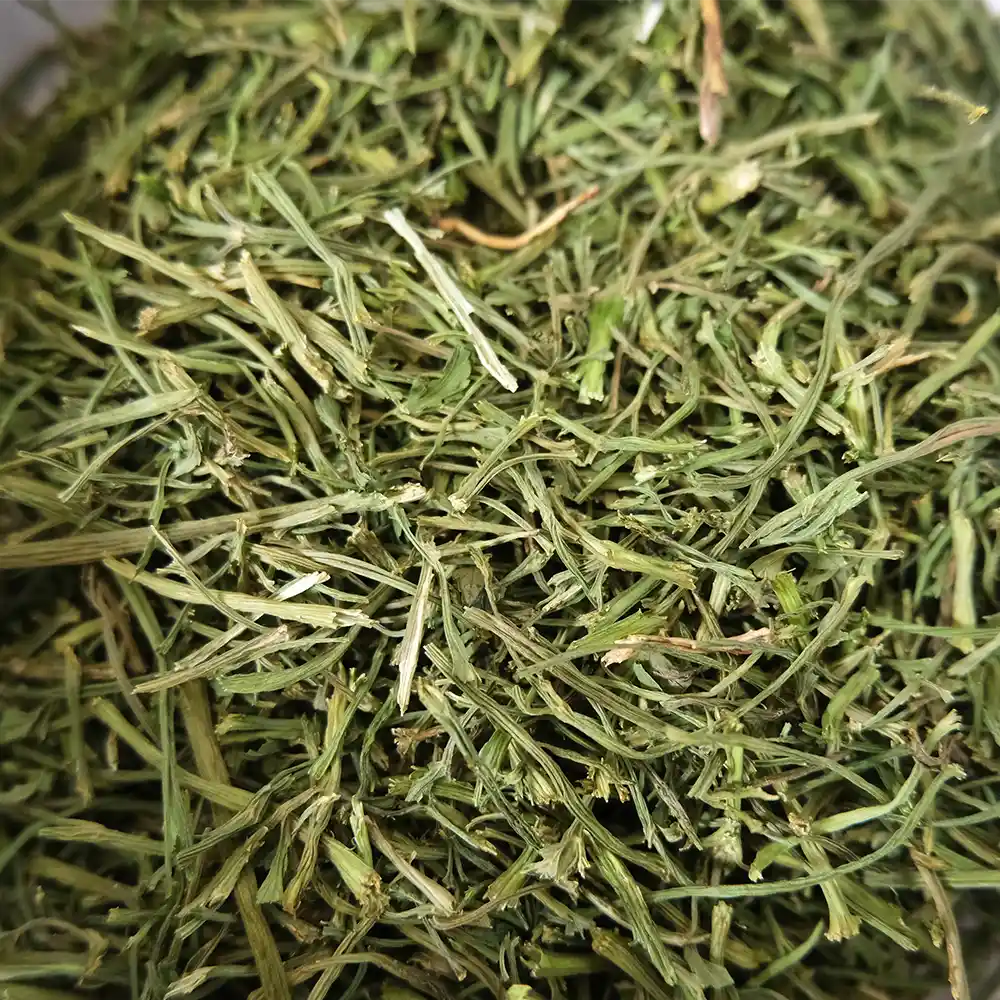 friandise pour lapin celeri branche