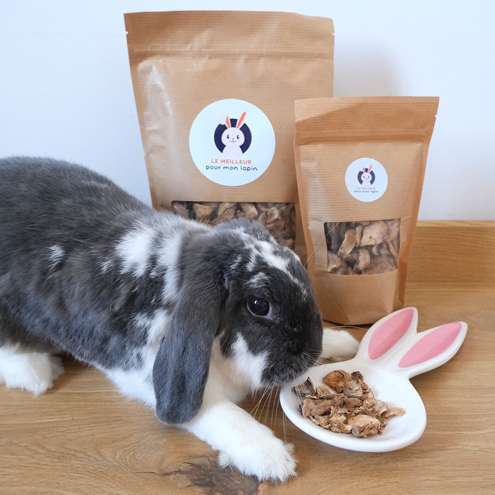 Friandise topinambour séché pour lapin