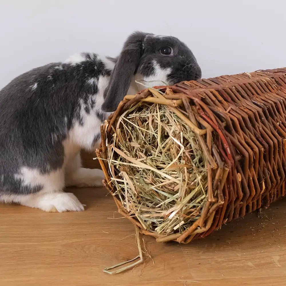Tunnel à ronger en foin pour lapin