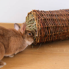 tunnel pour lapin à grignotter
