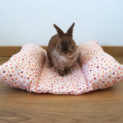 snugabun lapin classique