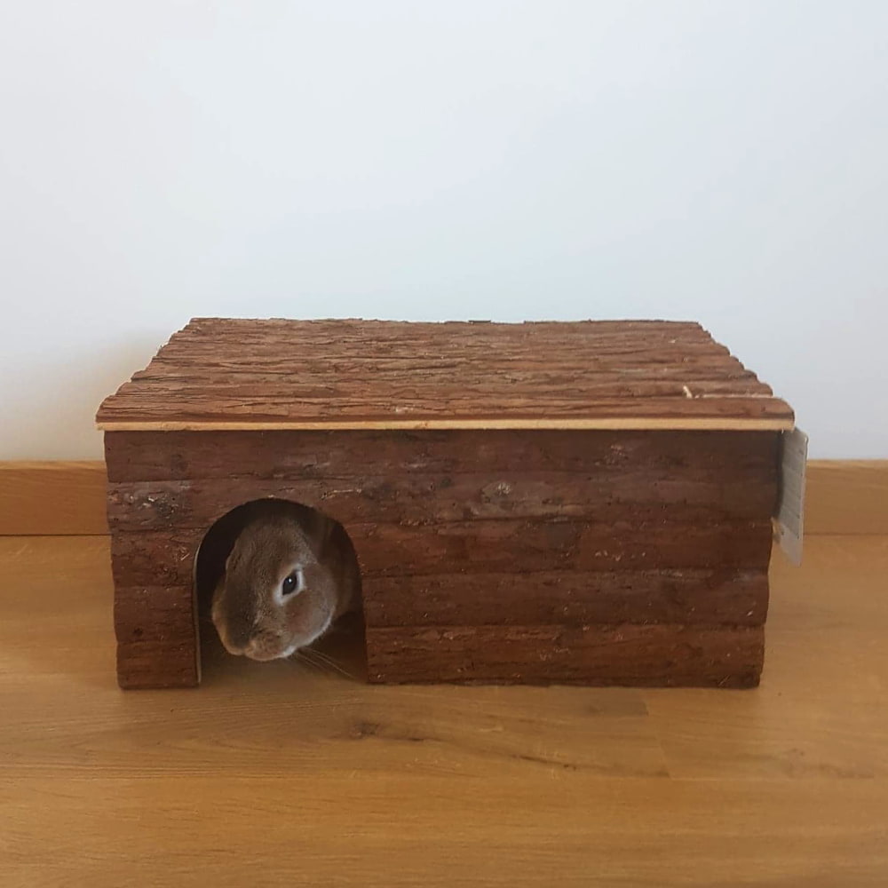 Maison bois pour lapin nain