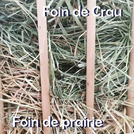 meilleur foin de crau lapin