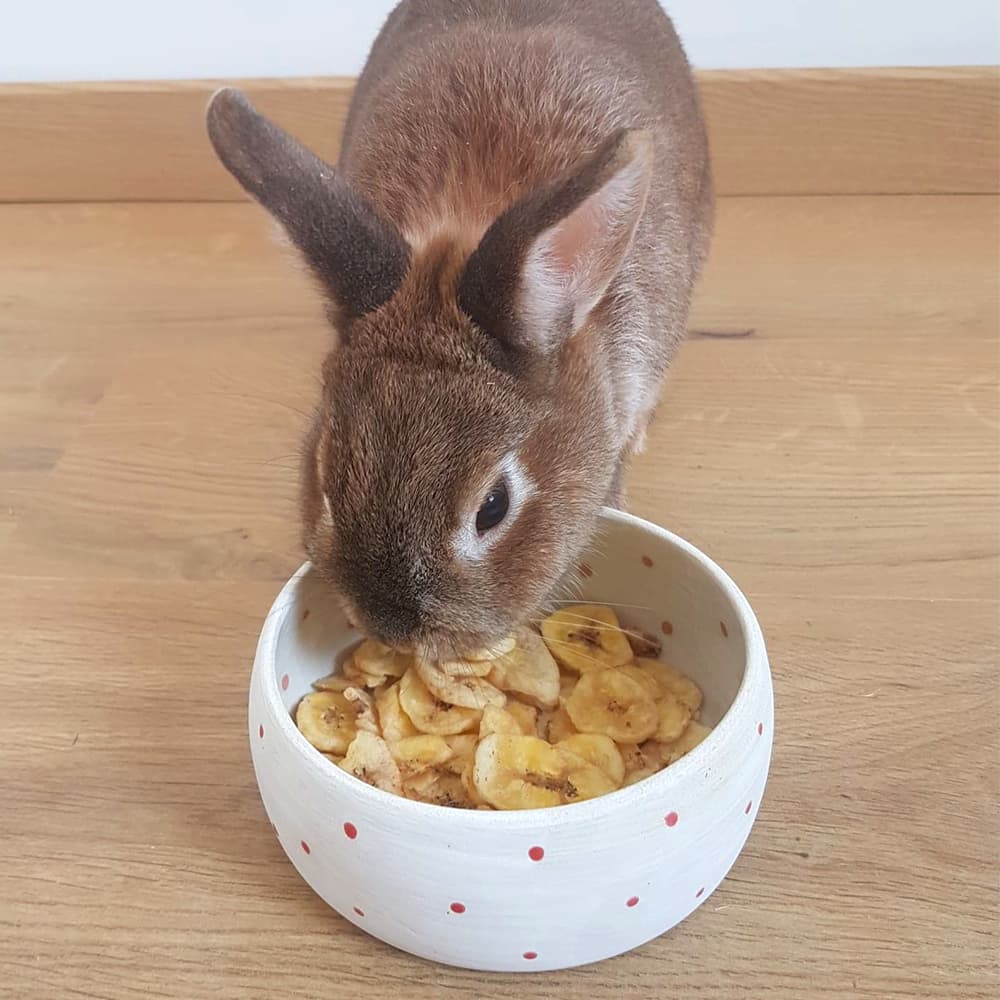 Banane séchée pour lapin
