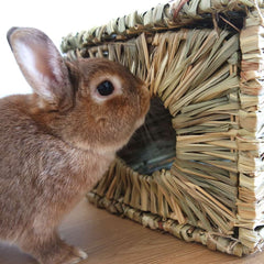 Maison en foin pour lapin