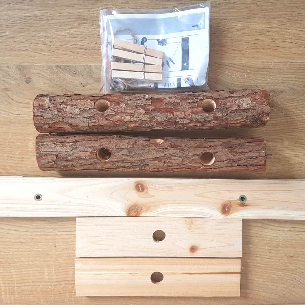 jeu intelligence arbre lapin