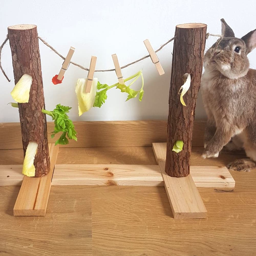 arbre à lapin nain friandise légume