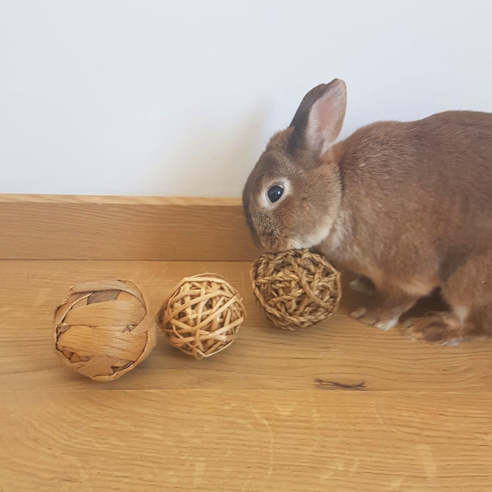 balle pour lapin à ronger
