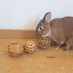 balle pour lapin à ronger