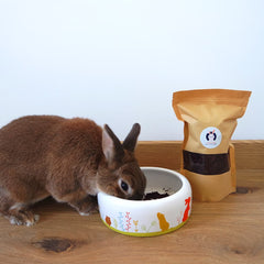 Betterave lapin