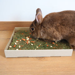 prairie lapin nain