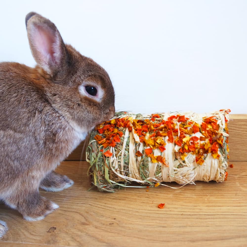 buche foin et légume lapin