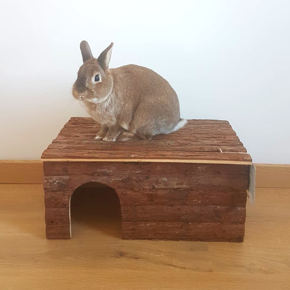 Cabane en bois pour lapin