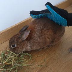 gant pour poils lapin nain
