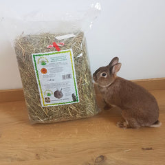 Foin de Crau lapin de compagnie