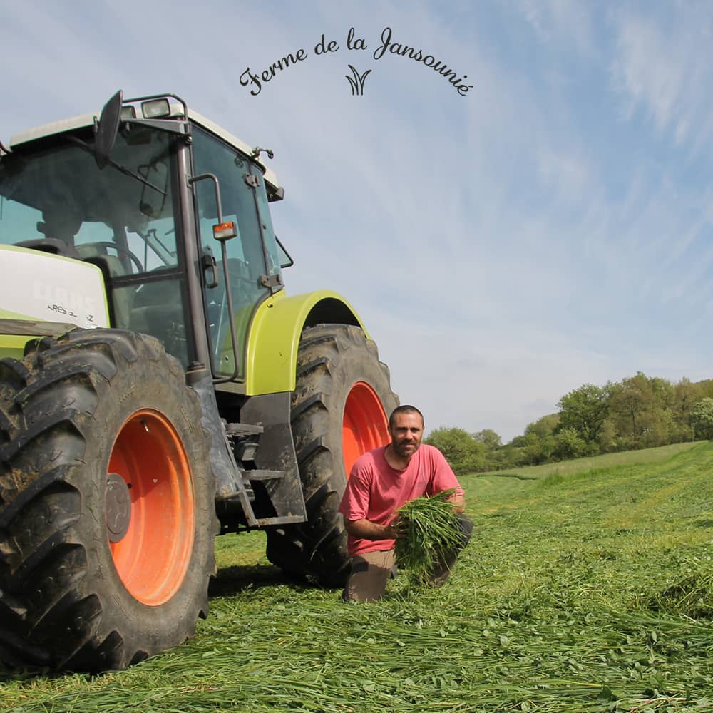 foin le meilleur pour mon lapin