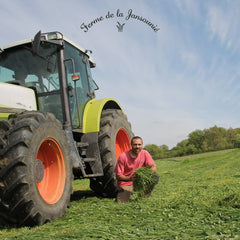 foin le meilleur pour mon lapin