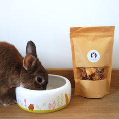 Friandise d'ananas lapin