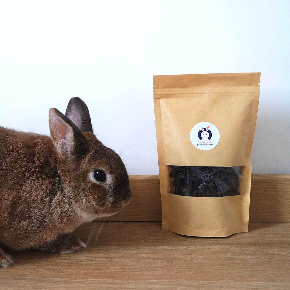 cerise pour lapin