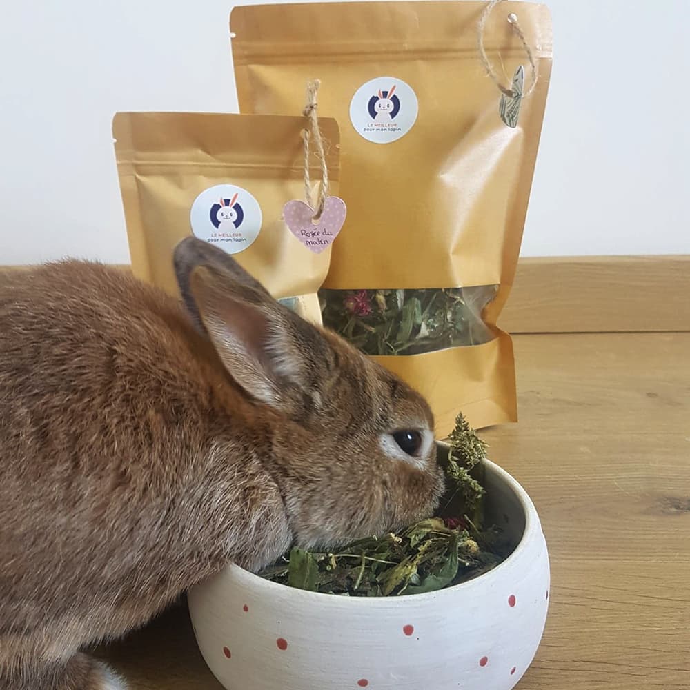 friandise naturelle lapin nain fleur