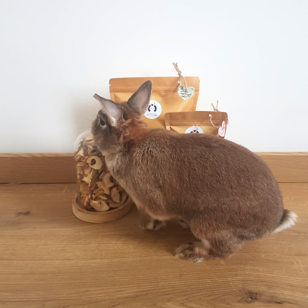 friandise pomme séchée lapin