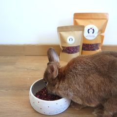 Friandise - rose pour lapin