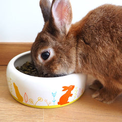 grande gamelle lapin