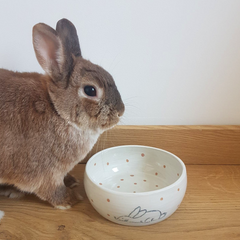 gamelle lapin nain made in france