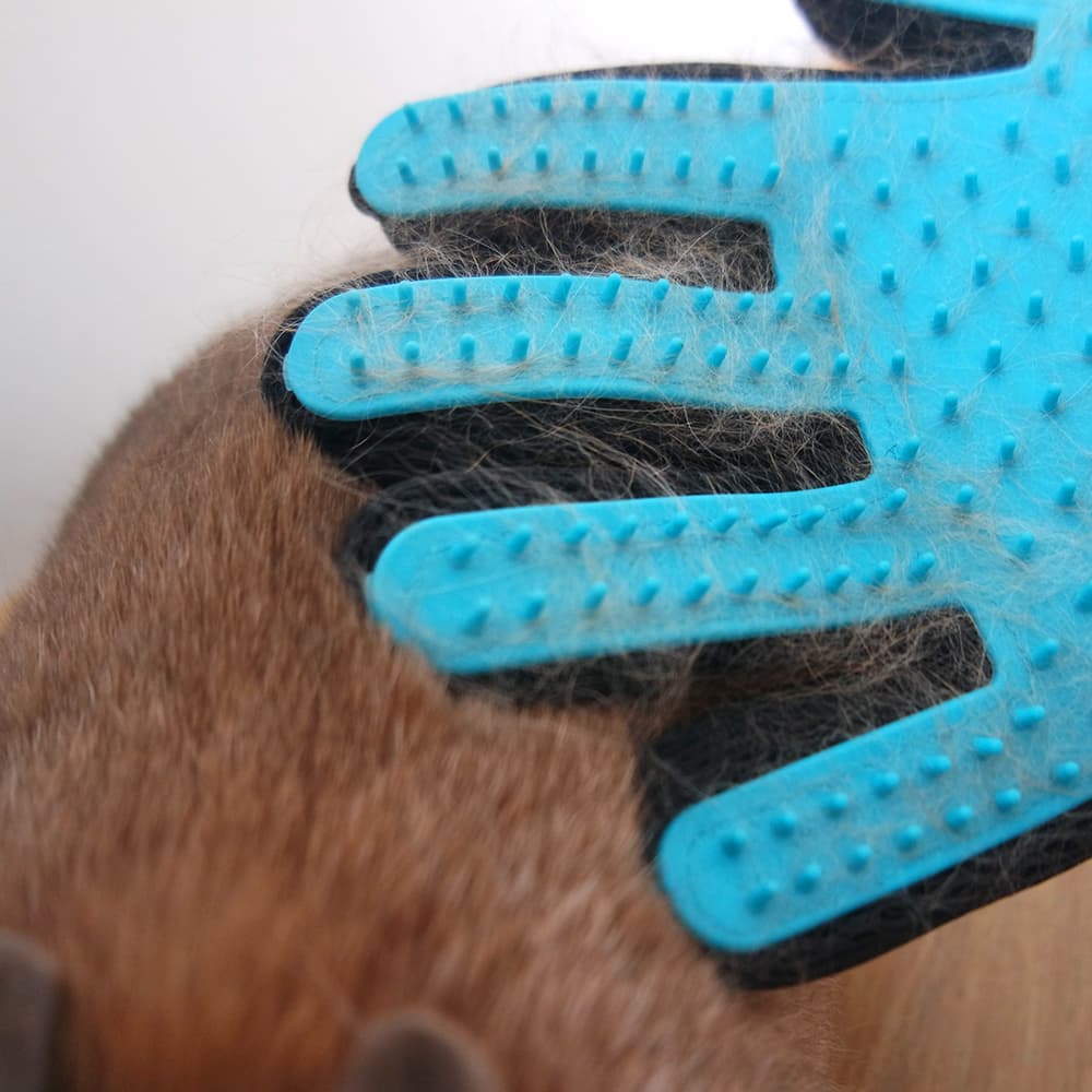 brosse lapin poil gant