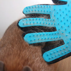 brosse lapin poil gant