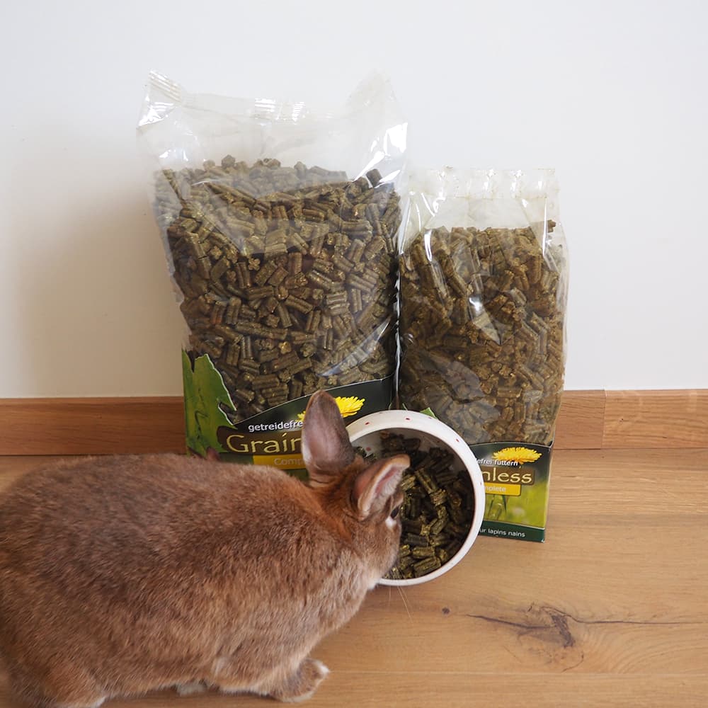 granulé lapin nain sans céréale