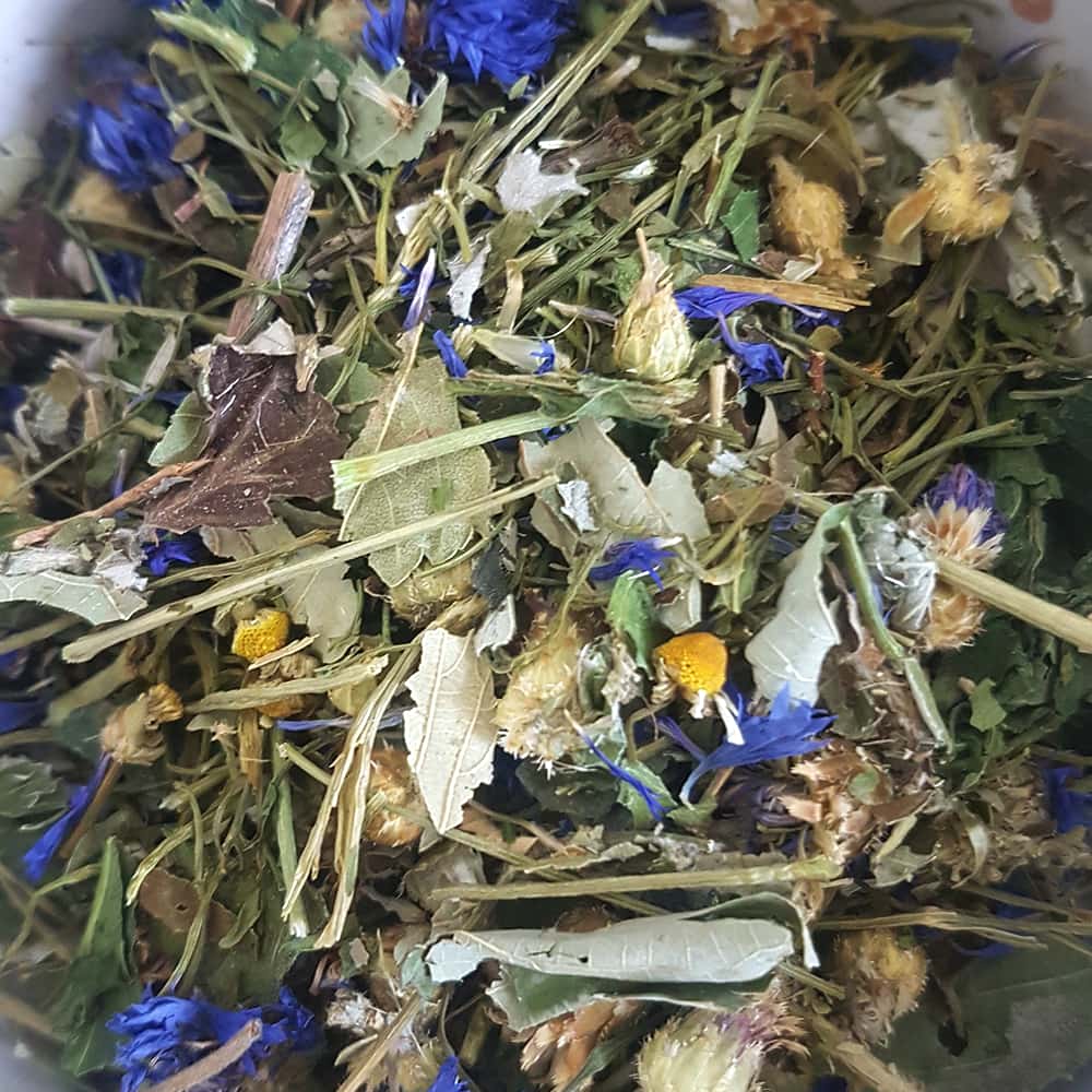 mélange herbe lapin folie du printemps