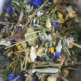 mélange herbe lapin folie du printemps