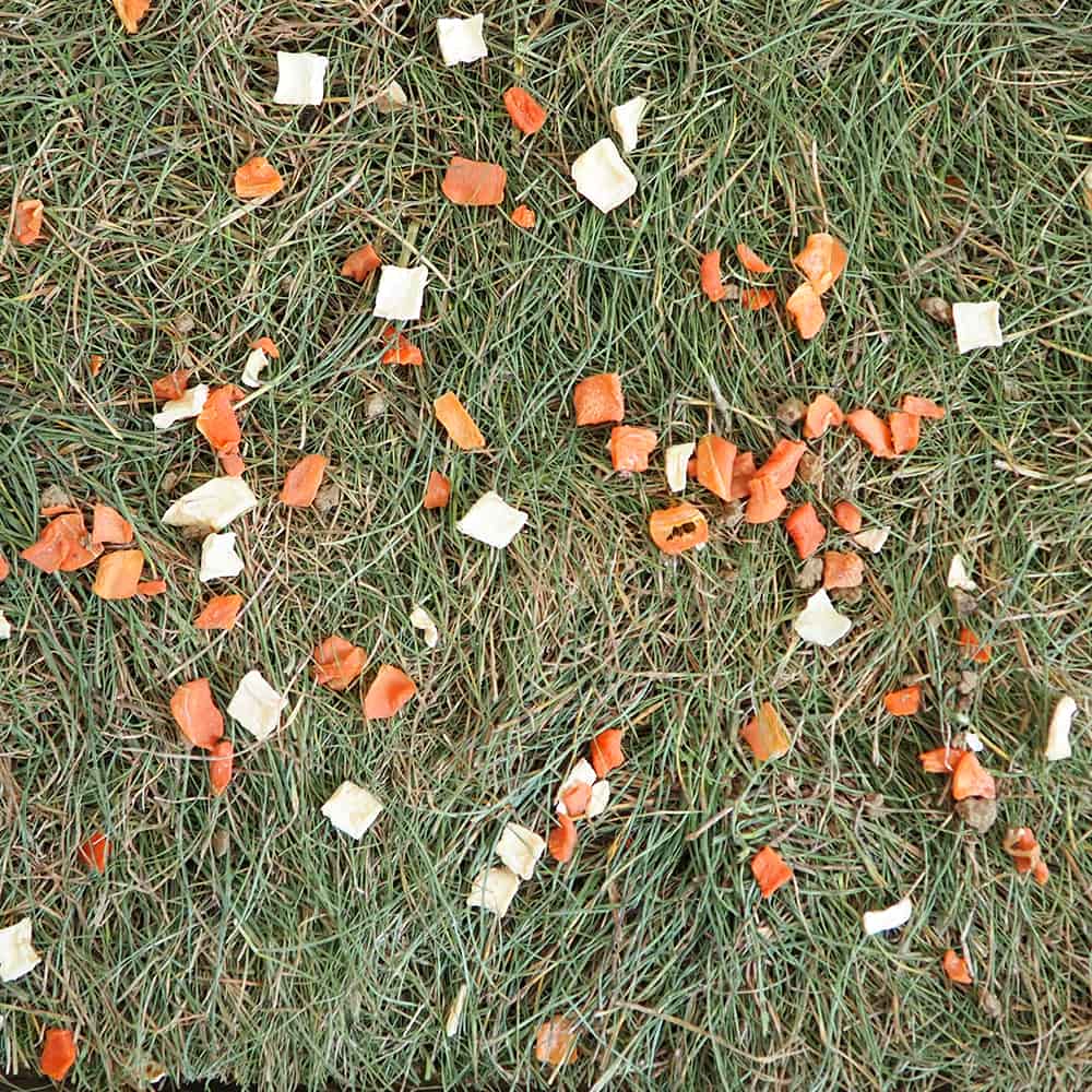 jeu de fouille lapin nain prairie