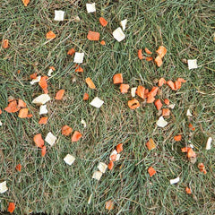 jeu de fouille lapin nain prairie