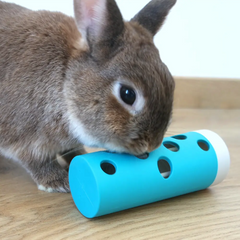 jeu d'intelligence lapin rouleau